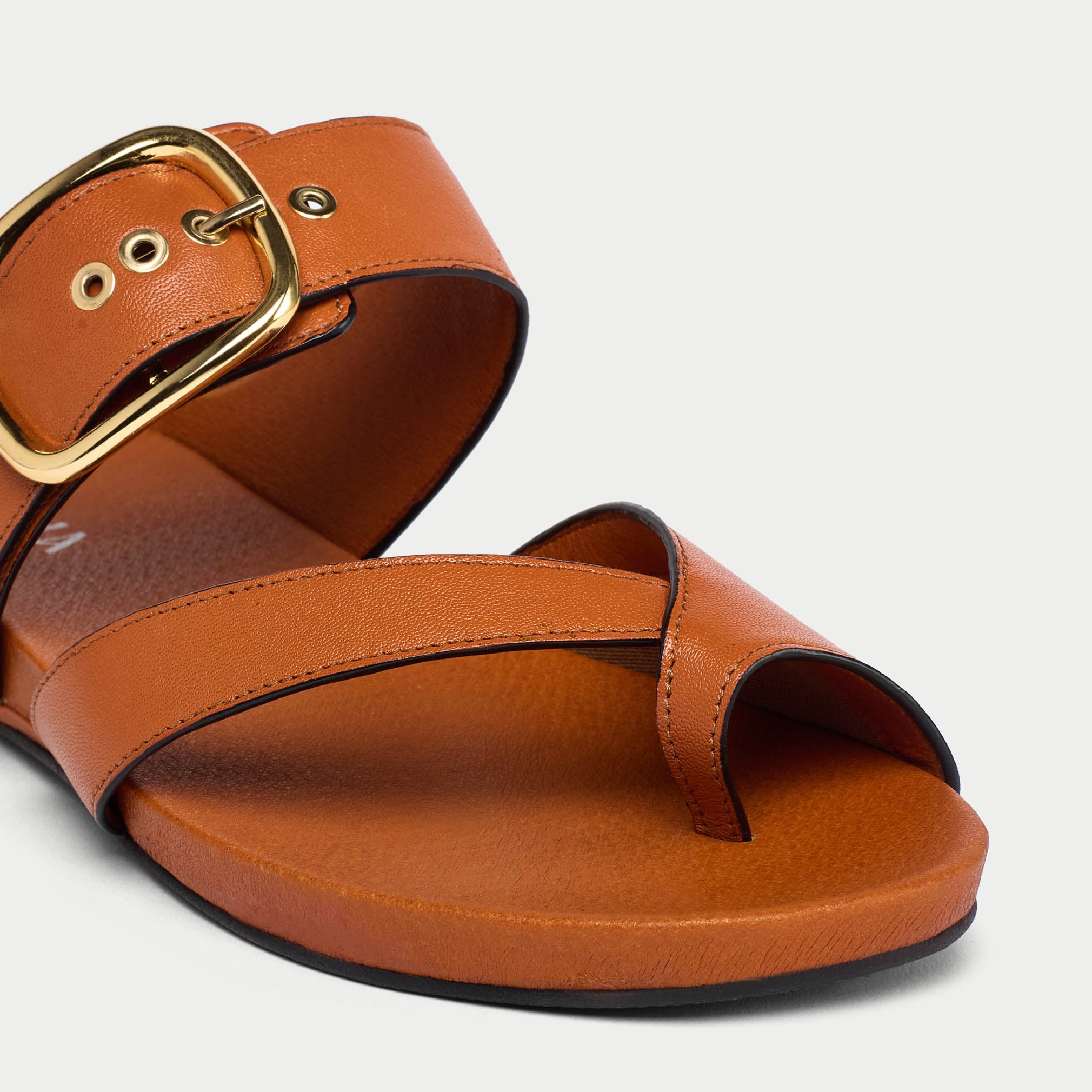 Brown sandal with gold buckle on a light gray background